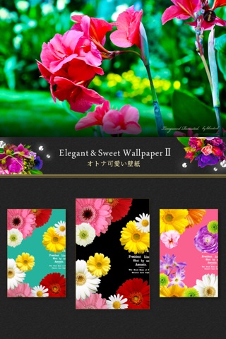 Elegant & Cute Wallpapers Ⅱ screenshot 2