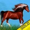 Horse Poney Wild Agility Race : The forest dangerous path - Gold Edition