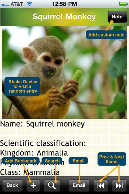 Primates Bible screenshot-4