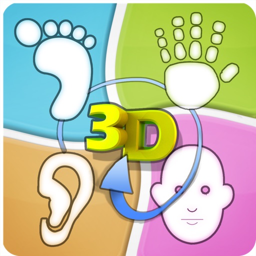 Total Reflexology-3D