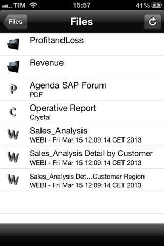 WEBI Open – SAP Report Viewer for BusinessObjects Documents screenshot 2