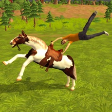 Activities of Horse Simulator
