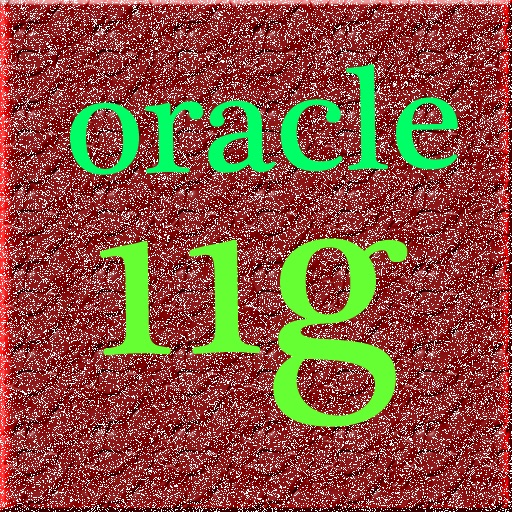 Oracle 11g