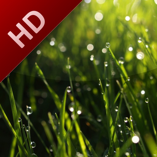 Experiences Free: Rainfall icon