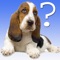 Dog Breed Quiz