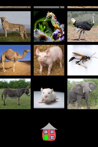 Big ZoO Lite screenshot 4