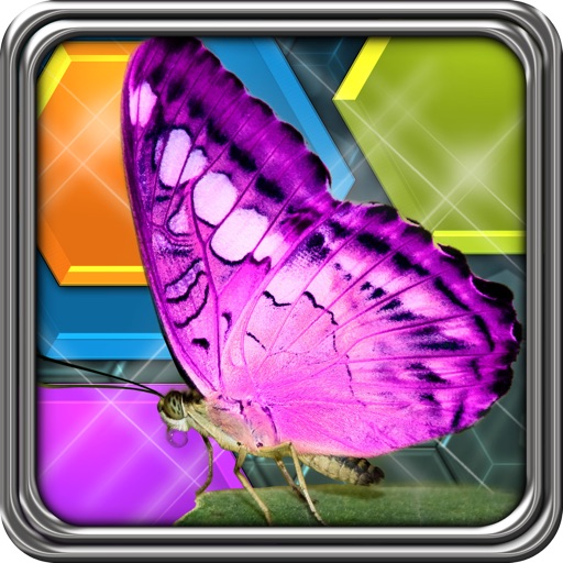 HexLogic - Butterflies icon