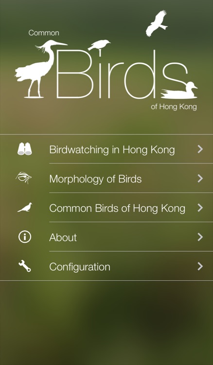 HKcBirds: Common Birds of Hong Kong