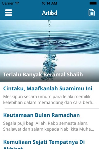 Media Sunnah screenshot 4