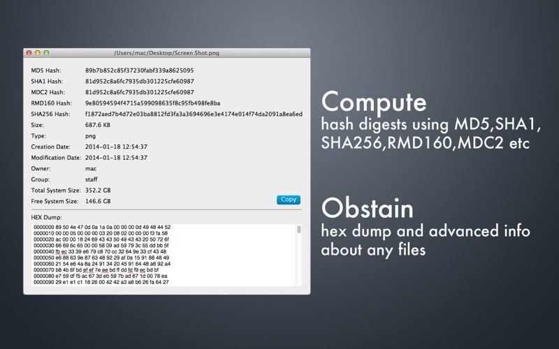 File Info thumbnail 2