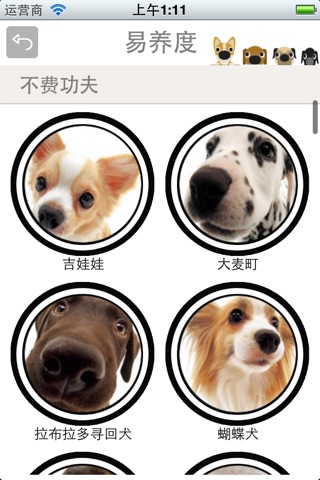 萌狗百科-挑选适合你的狗狗 screenshot 3