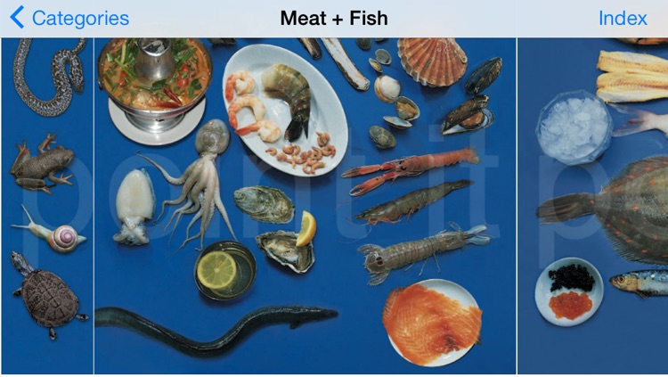 point it - Traveller’s language kit screenshot-3