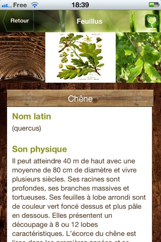 Bois Forêt: pour découvrir les forêts françaises, les essences et l'univers du bois screenshot 3