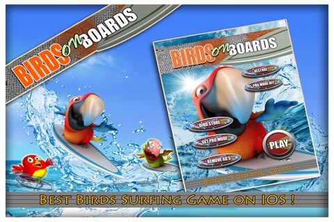 Birds on Boards Pro Game: Tiny Parrots Water adventure Race screenshot 2