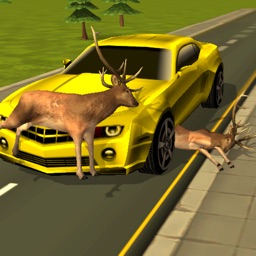 Road Kill 3D : Highway Animal Avoidance