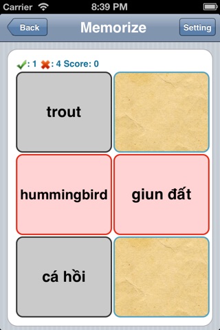 English-Vietnamese Flashcards screenshot 3