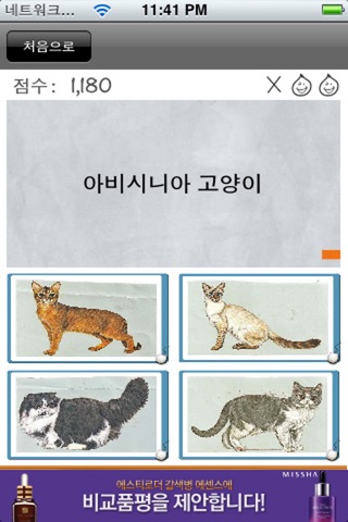 Cat Quiz screenshot 3