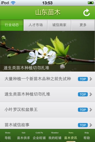 山东苗木平台 screenshot 4