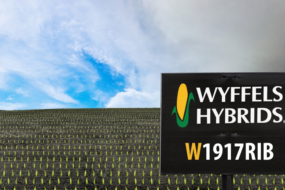 Plant Wyffels Hybrids screenshot 4