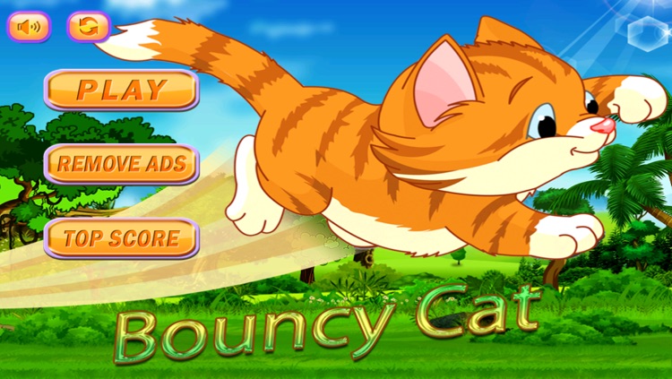 Bouncy Cat