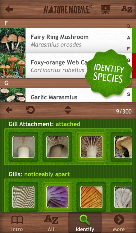 Mushrooms PRO - NATURE MOBILE - For Safe Enjoyment! screenshot-3
