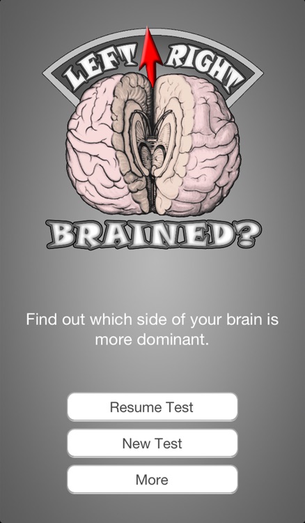 Brain Test ~ I'm Left or Right brained? ~ A brain side hemisphere dominance quiz screenshot-3