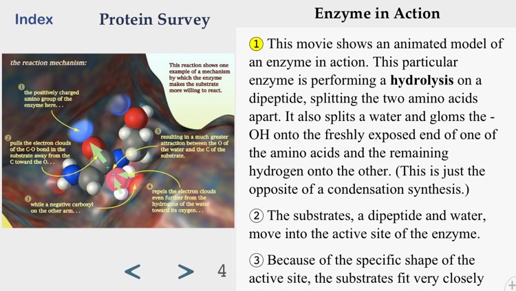 MacroMole screenshot-3