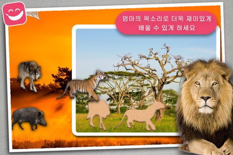 Wildlife Animals Photo Jigsaw Puzzle screenshot 4