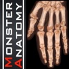 Monster Anatomy - Upper Limb