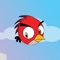 Bird HD