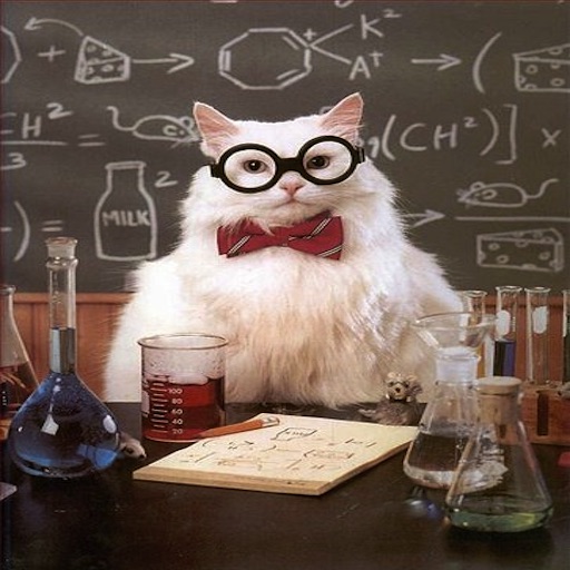 Chemistry Cat