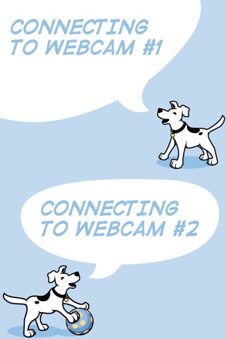 Central Bark Webcam screenshot 3