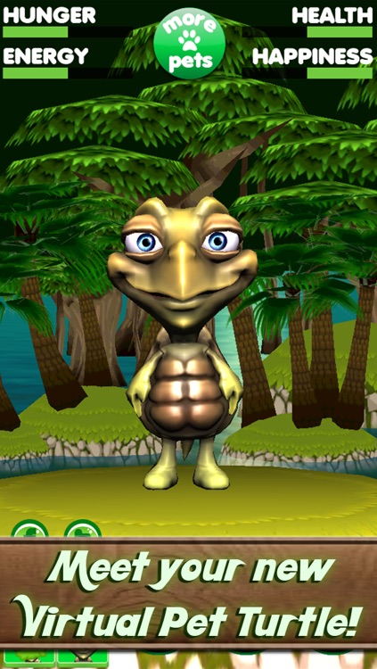 Virtual Pet Turtle