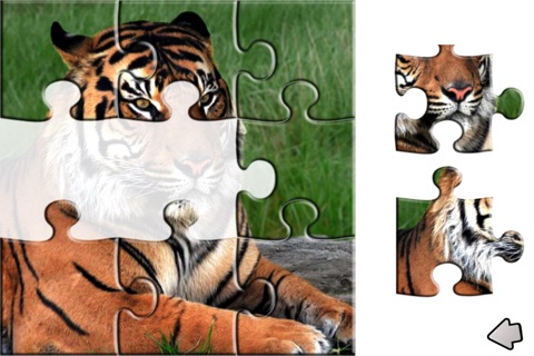 ZOO Puzzle screenshot 3