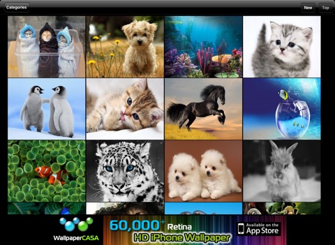 AnimalPix HD (iPad version) screenshot 2