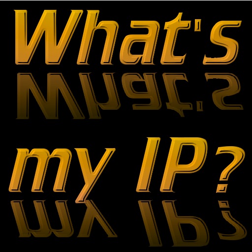 What's IP ?