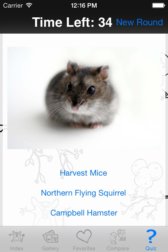 My Favorite Small Rodent screenshot 4