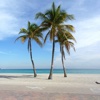 Palm Beach Travel Guide