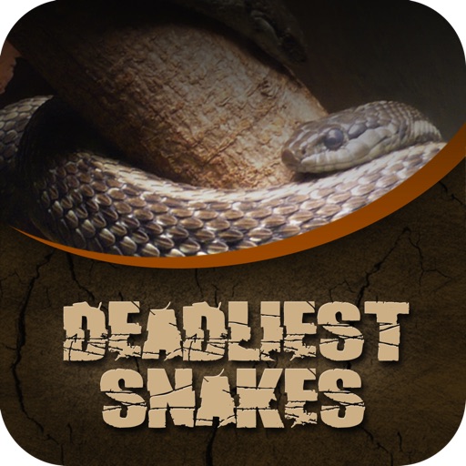 Deadliest Snakes icon