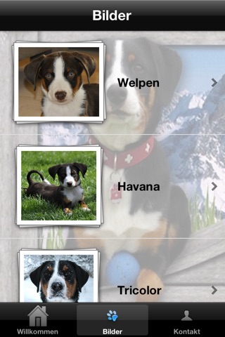 Appenzeller-Hunde screenshot 2