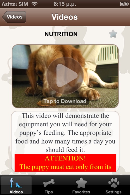 Puppy Training Videos