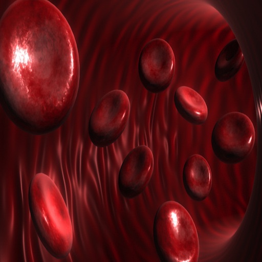 Blood Vessel