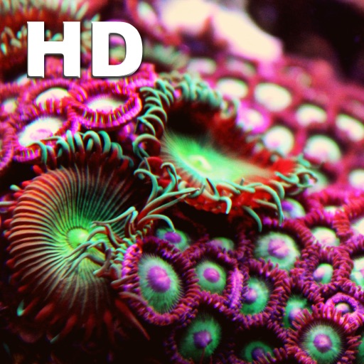 Best Coral Reefs HD icon