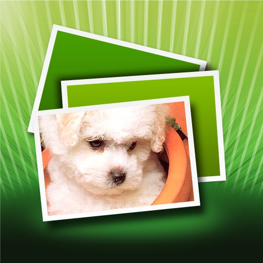 Pet Wallpaper iOS App