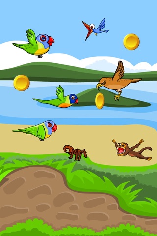 Little Lorikeet Lola - Bird Escape screenshot 3