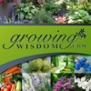 Growing Wisdom