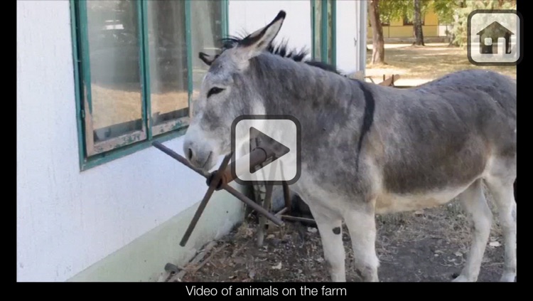 100 Things: Farm Animals – Video & Picture Book for Toddlers