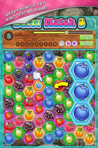Berry Match Three FREE - A fun, yummy fruit switch-ing puzzle game! screenshot 2