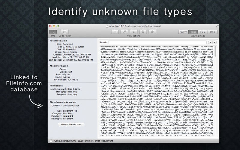 File Viewer Screenshot