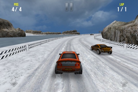 Racing Pro screenshot 2